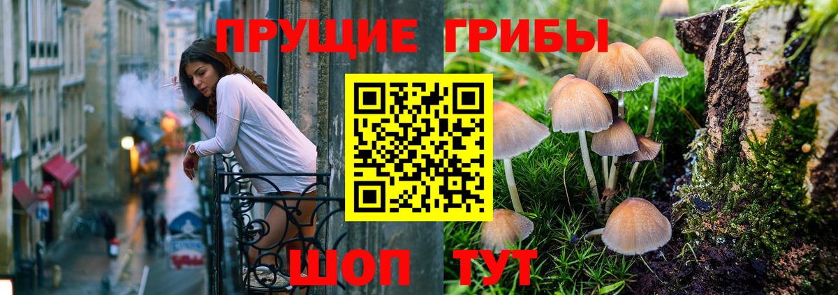 Галлюциногенные грибы Psilocybine cubensis Керчь