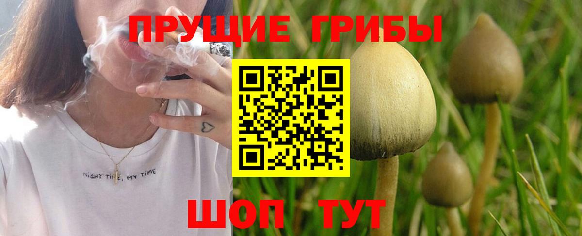 Керчь  Галлюциногенные грибы ЛСД  Вход с VPN 