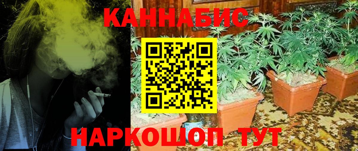 Бошки Шишки AK-47 Керчь